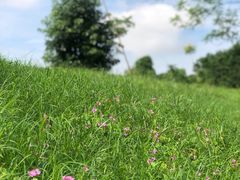 -白鹭湾湿地公园