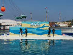 -秦皇岛乐岛海洋王国