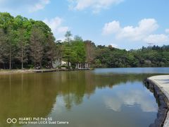 -深圳仙湖植物园