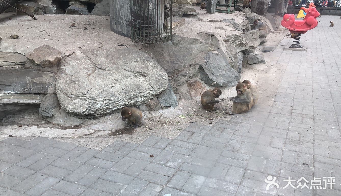 北京動物園