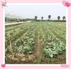 -麦粒鸟亲子游