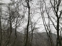-九峰山