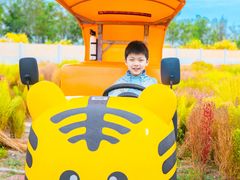 -天津东丽湖风景区