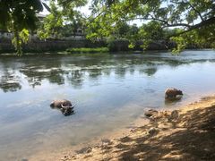 -杭州双溪漂流景区