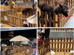 -上海长风大悦城