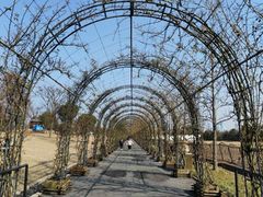 -广富林郊野公园