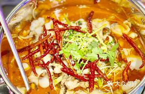 Delicious Frog and Sizzling Fish