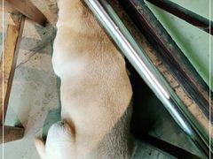 -Cactus墨西哥仙人掌餐厅