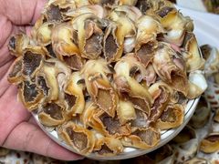 -阳江餐厅·30年老字号·粤菜海鲜大排档