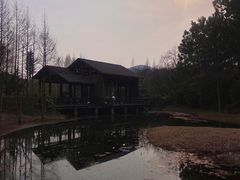-长广溪湿地公园