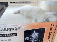 -万达广场(南宁青秀店)