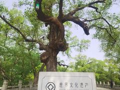 -北陵公园