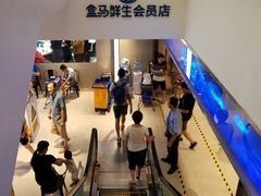 -盒马鲜生(大成店)