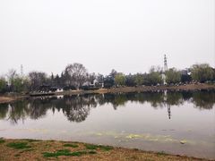-堤角公园