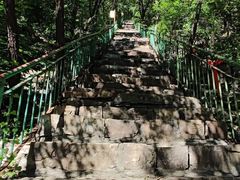 -老象峰