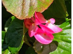 -桃花涧