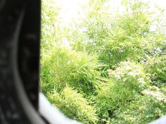 -苏州文旅花间堂·探花府酒店