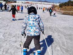 -华彬猛犸滑雪场