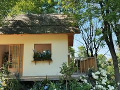 -成都保利公园皇冠假日酒店(熊猫基地店)