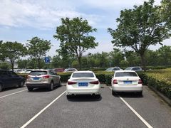 -顾村公园3号门停车场