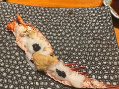 -月龍吟(朝龙汇店)