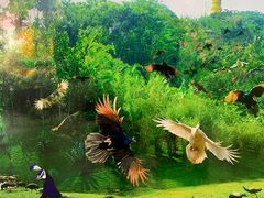 -西双版纳勐泐文化旅游区