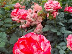 -人民公园(罗湖区)