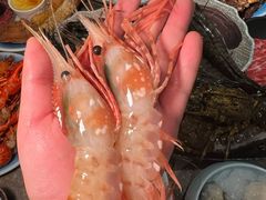 -亚马逊蒸汽活海鲜自助(LCM置汇旭辉广场店)