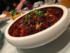 蜀香毛血旺-蜀SHU·川菜