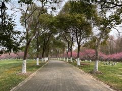 -上海海湾国家森林公园