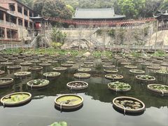 -石峰岩寺