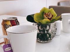-上海新发展亚太JW万豪酒店