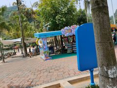 -重庆海昌加勒比海水世界