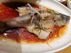 -青龙场温鸭子(青羊北路店)