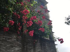 -新都巷步道