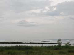 -合肥滨湖国家森林公园