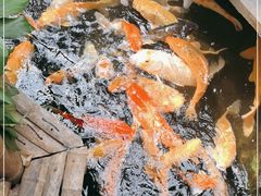 -上海大自然野生昆虫馆(东方明珠·爬宠昆虫探索中心)