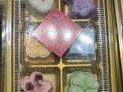 -野荸荠