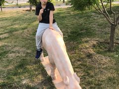 -武清南湖绿博园