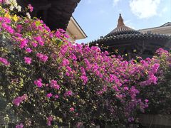 -三亚亚龙湾雅高美爵酒店