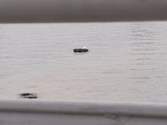 -海堤纪念公园