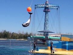 -秦皇岛乐岛海洋王国