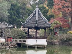 -上海醉白池公园