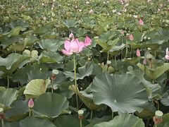 -云龙湖旅游景区