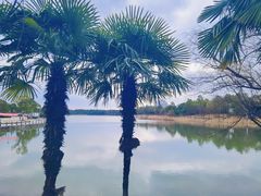 -美兰湖景区