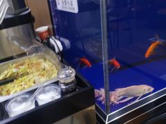 -秦镇史玉林凉皮(翡丽城店)