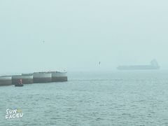-东疆建设开发纪念公园