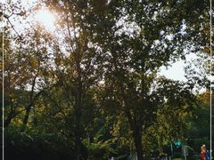 -大连植物园
