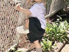 -长春公园(普阳街道)