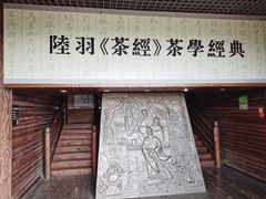 -大唐贡茶院